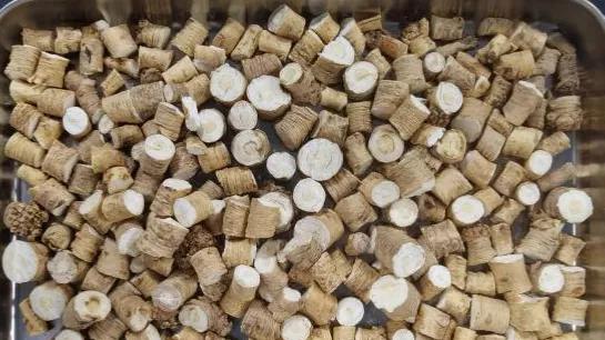 真空冷冻干燥技术在党参冻干中的应用