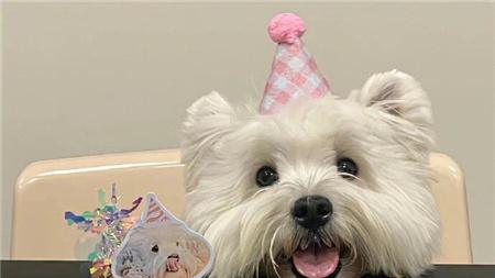 底层人一定是互相为难的，底层女人对着没什么经济的男人要房、要车、要彩礼