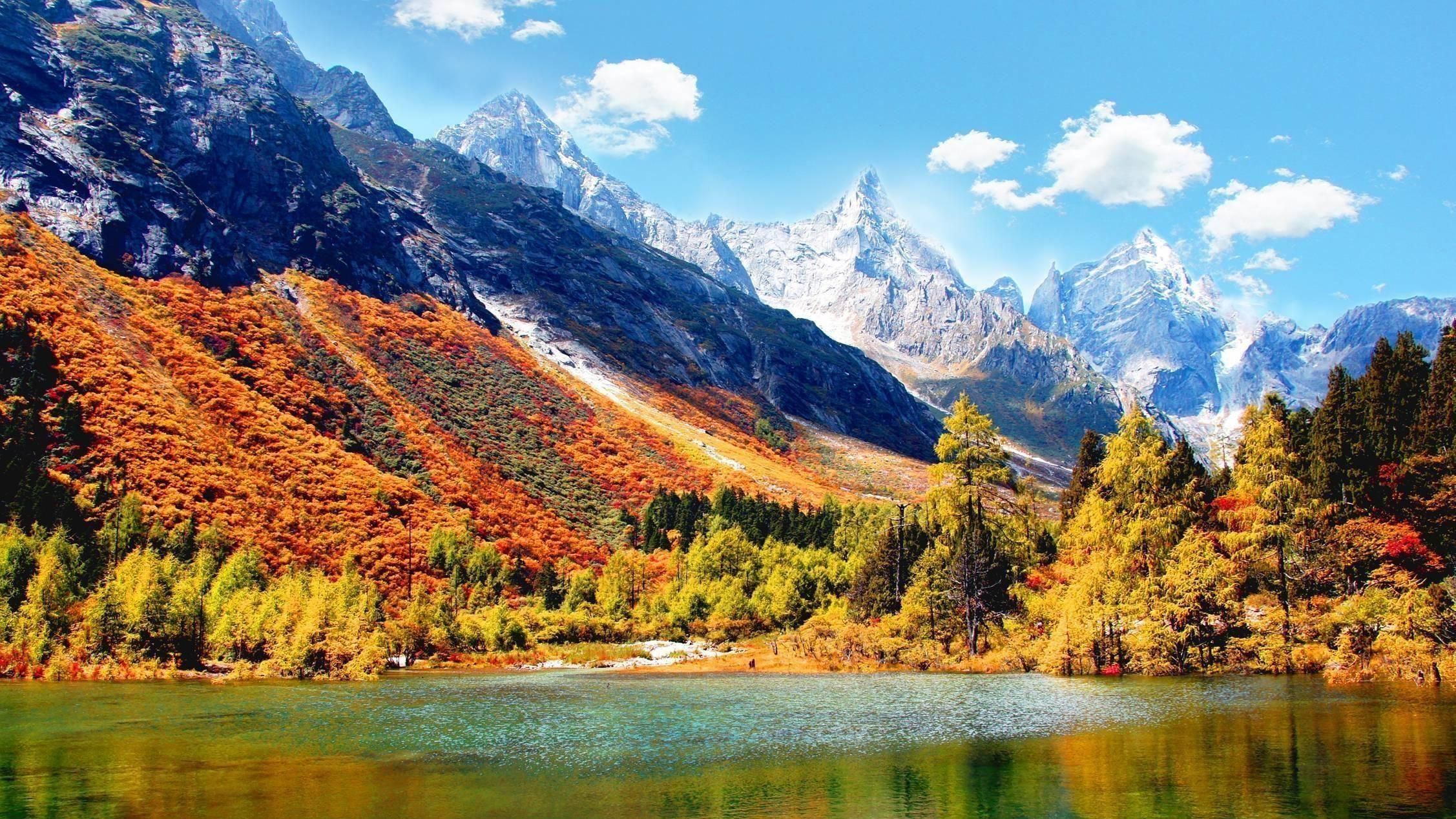 精神内耗：一场无声的自我战争；所谓精神内耗，其实就是心理内耗