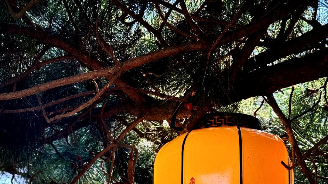 忻州天柱山"悬塑圣境+云海秘境"全维度旅游攻略——一份给登山者、道文化爱好者与自然探索者的2024深