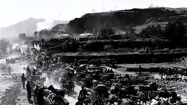 1950年，聂元帅下令枪决一师级干部，临刑前含泪嘱咐：给他点鱼吃