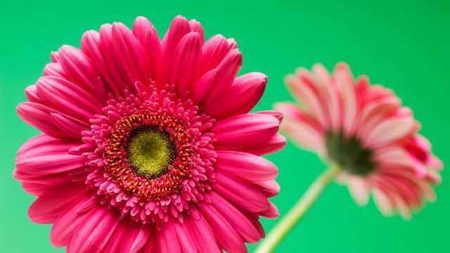 哪些类型的浪漫男人不适合托付终身？