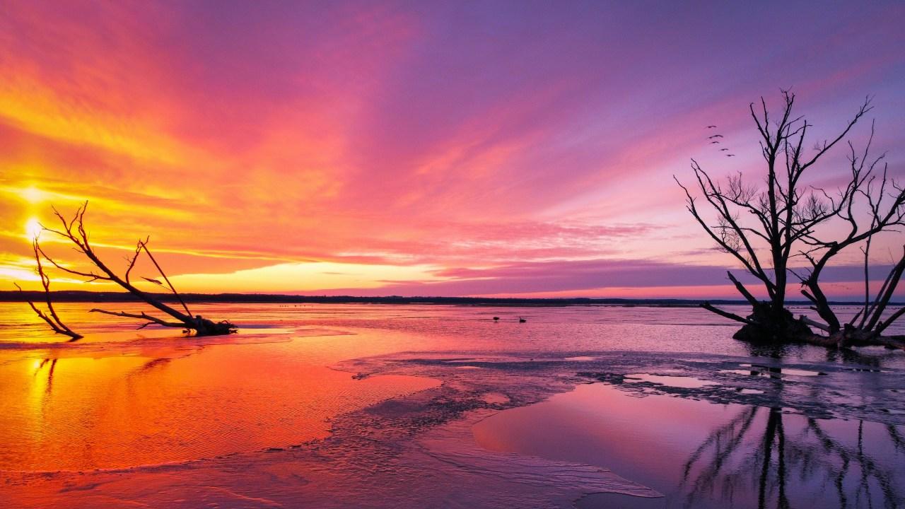 冬季水边，格外出片