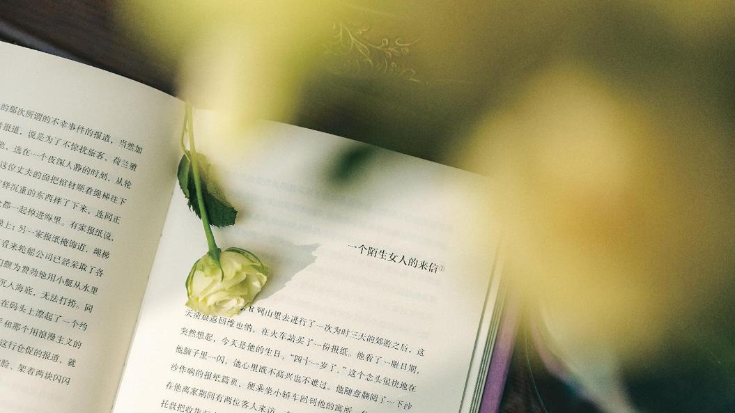 做一个美好的人，才能吸引美好的事