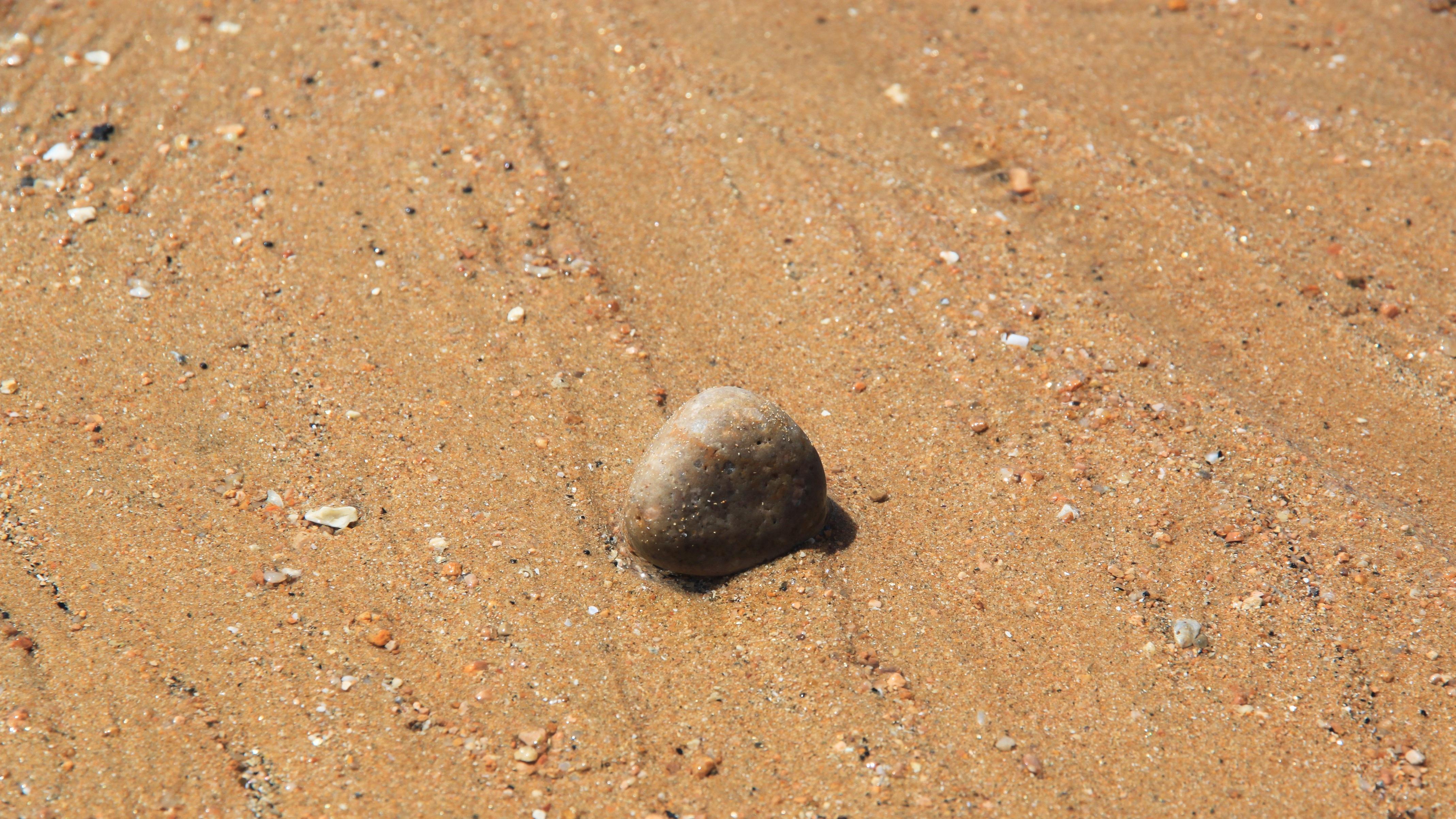 信用能当钱花吗？厦门给出“标准答案”