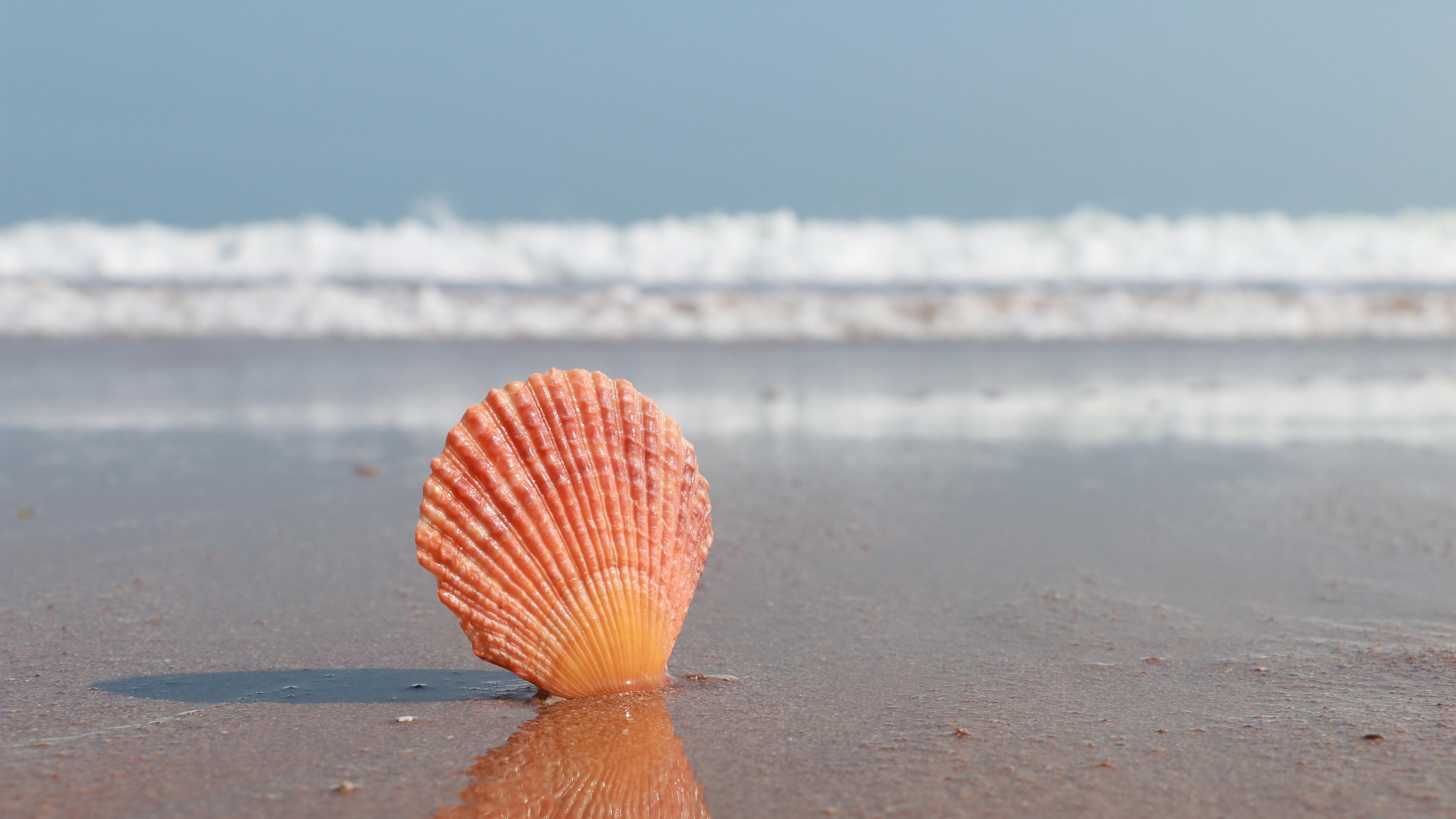 读懂中国经济的韧性和底气