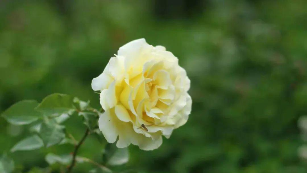 灵魂伴侣？有这几个感觉就对了！