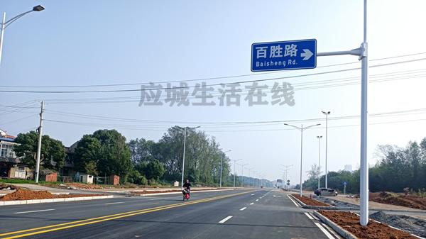 应城两河新区-横二路项目2024年11月份进展