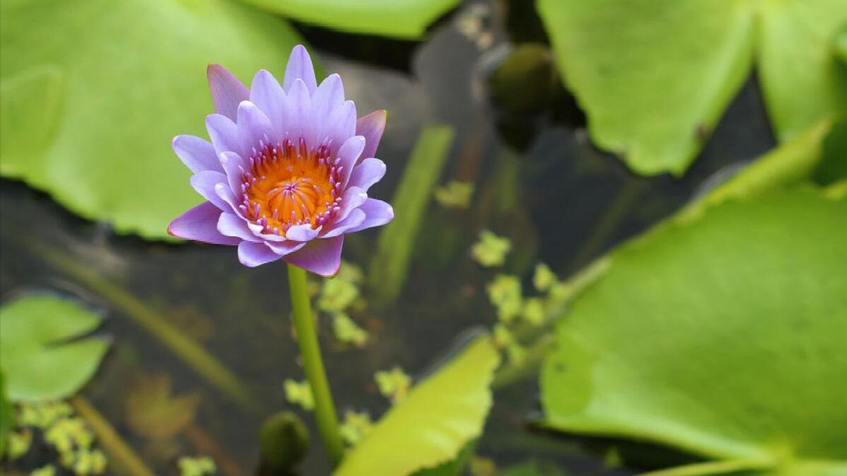 在新的一年里，10件能积“阴德”的事，要多多去做！