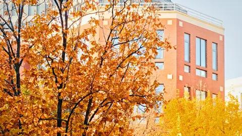 轿跑梦不再遥不可及，深度体验奕派eπ007+