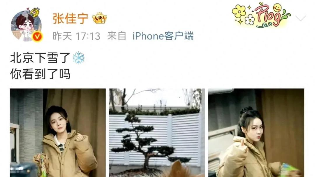 娱闻张佳宁宋茜祝绪丹阚清子迪丽热巴赵丽颖