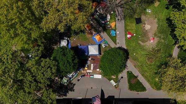 “硬刚”特朗普，正让哈佛更富有