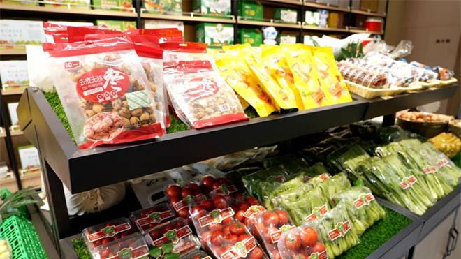 定档11.15 上合胶河源“2025·胶州大白菜” 国际美食嘉年华将燃爆胶