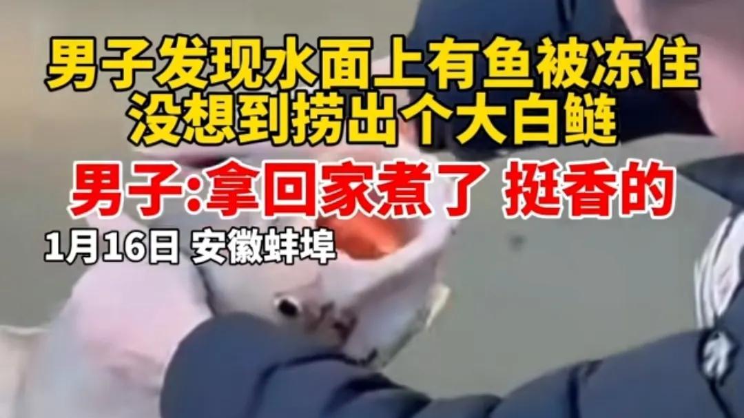 男子捡到一条被冻僵的20斤大鱼，男子：鱼很健康，也很香
