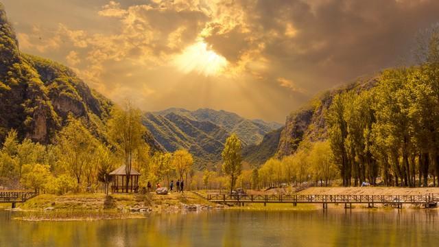 生肖虎的婚姻真相，讲的太好了