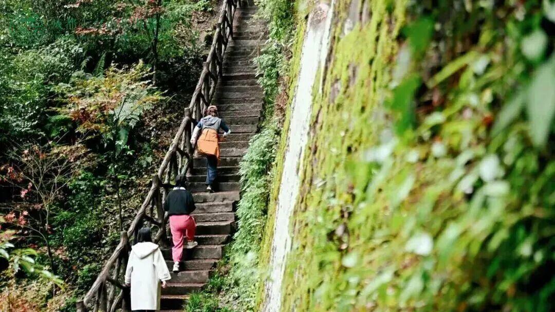 崃户外丨邛崃这条用原木碎石铺成的徒步线，藏着南丝路的秘密