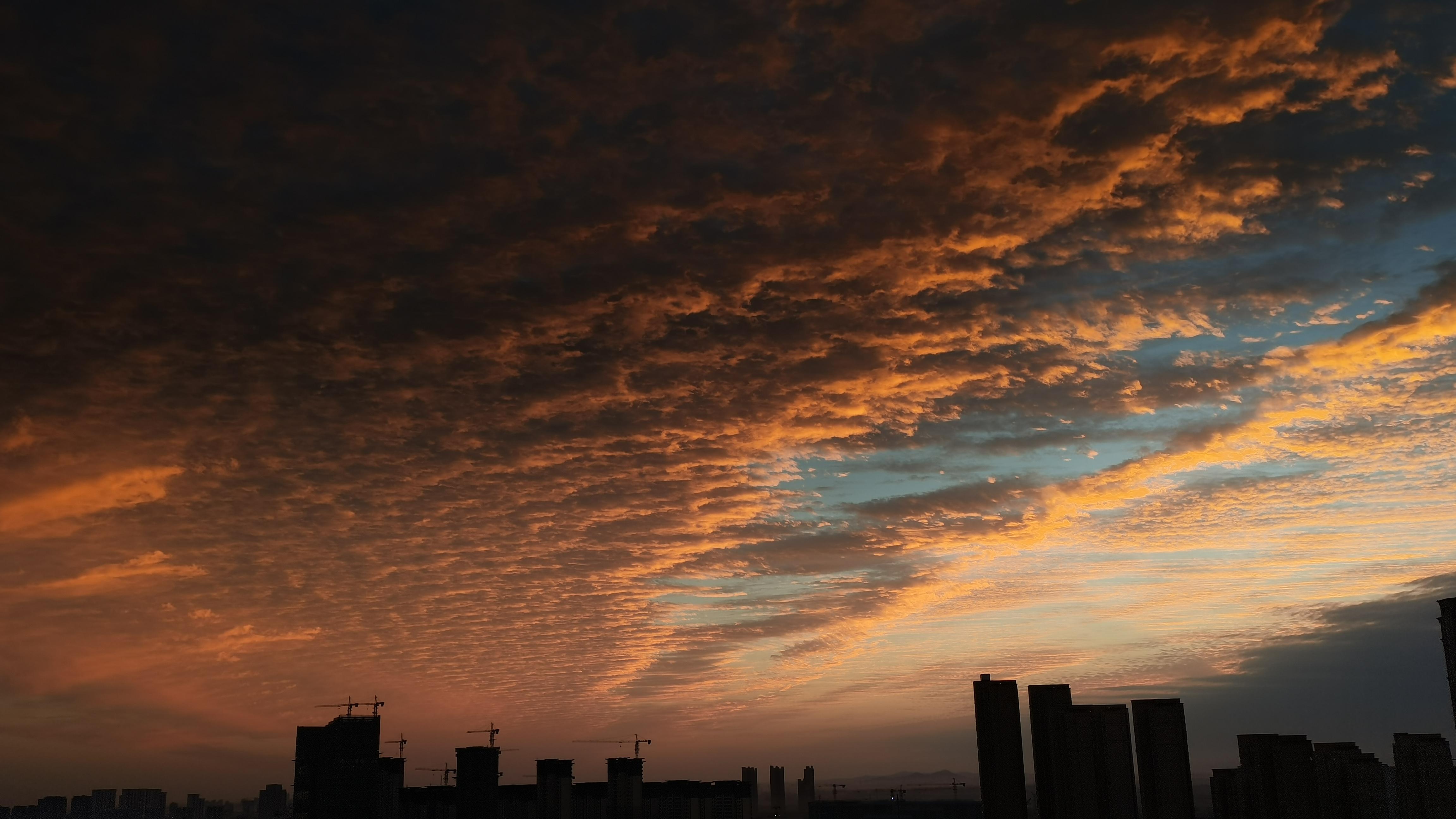 为什么儒学没有成为宗教？