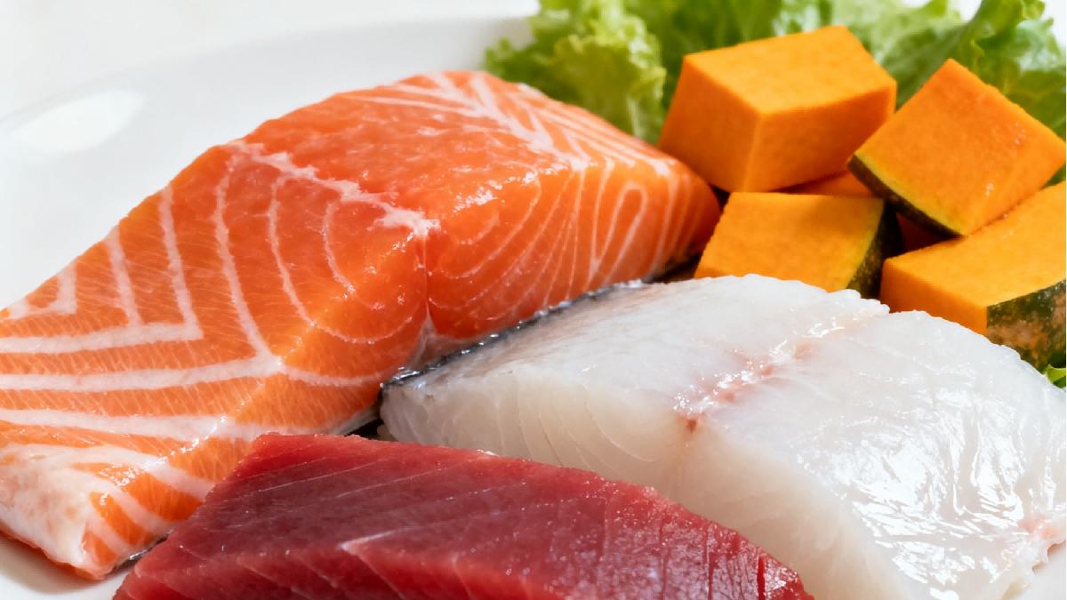 自制猫饭低脂食谱推荐！自制猫饭怎么做？附自制猫饭减肥配方