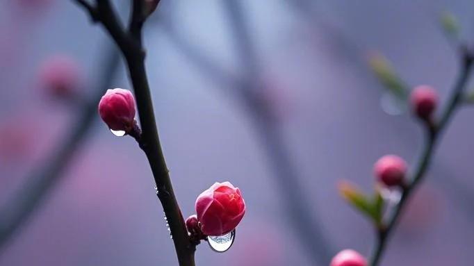 1月17日早安吉祥祝福：以平常心对待风雨，以清宁心度过日常