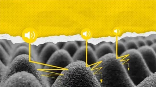 馕言文vs“轮”语！如果用“馕式哲学”打开轮胎品牌......