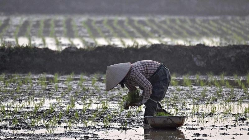 给农民评定职称，太荒唐了