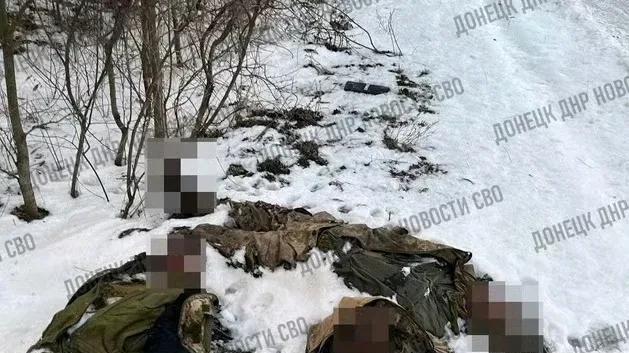 乌军反攻库尔斯克：朝鲜特种部队大开杀戒，把苏贾变成“绞肉机”