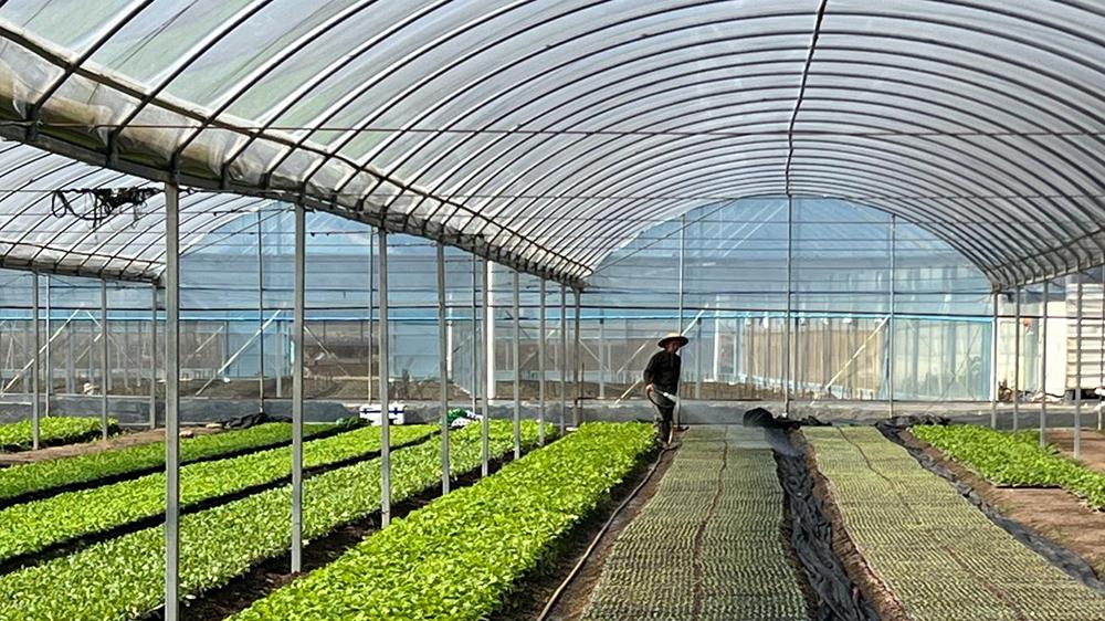 严生仁：扎根白沙镇，用智慧农业改写山区种植史