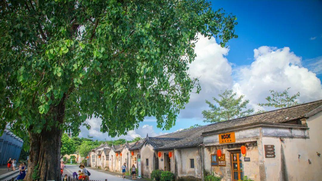 一村一食堂，是乡村振兴的新尝试，还是一厢情愿的美好愿景吗