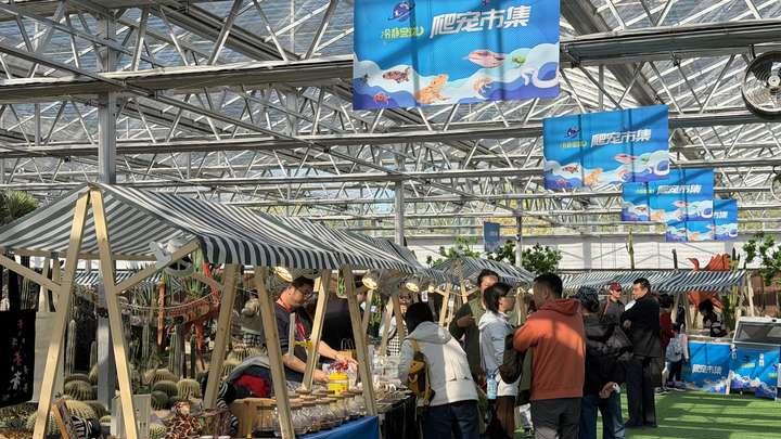 北京农业嘉年华爬宠市集成新亮点 游客零距离接触“另类萌宠”