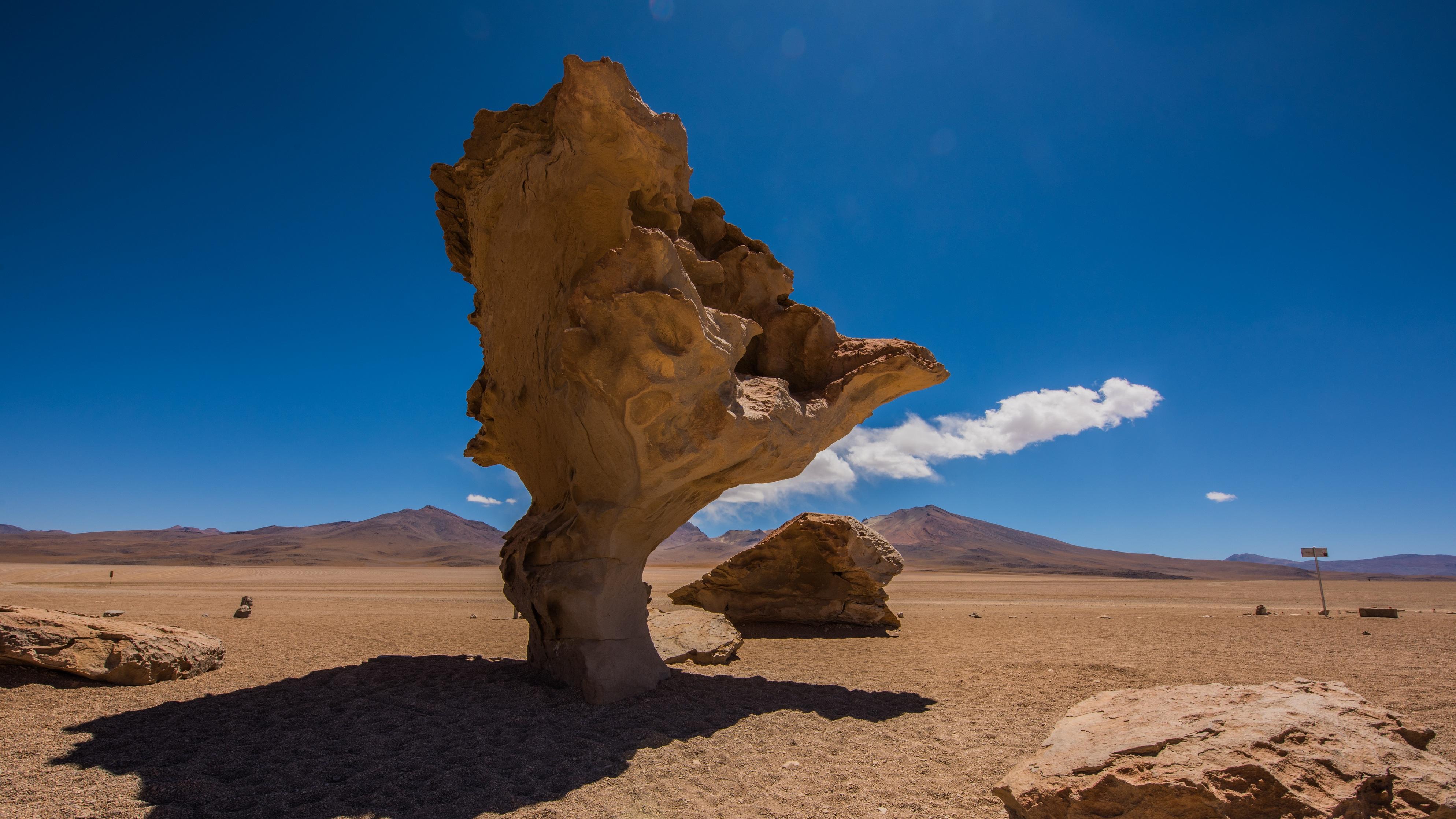 2026：反内卷，企业该换一套“活法”了