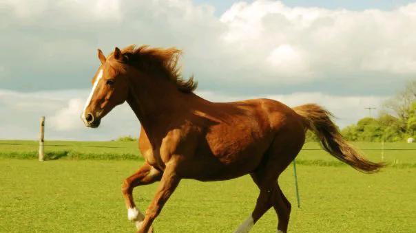 属马人，出大喜事了，3月将有“3个富婆”来找你，一定要点开