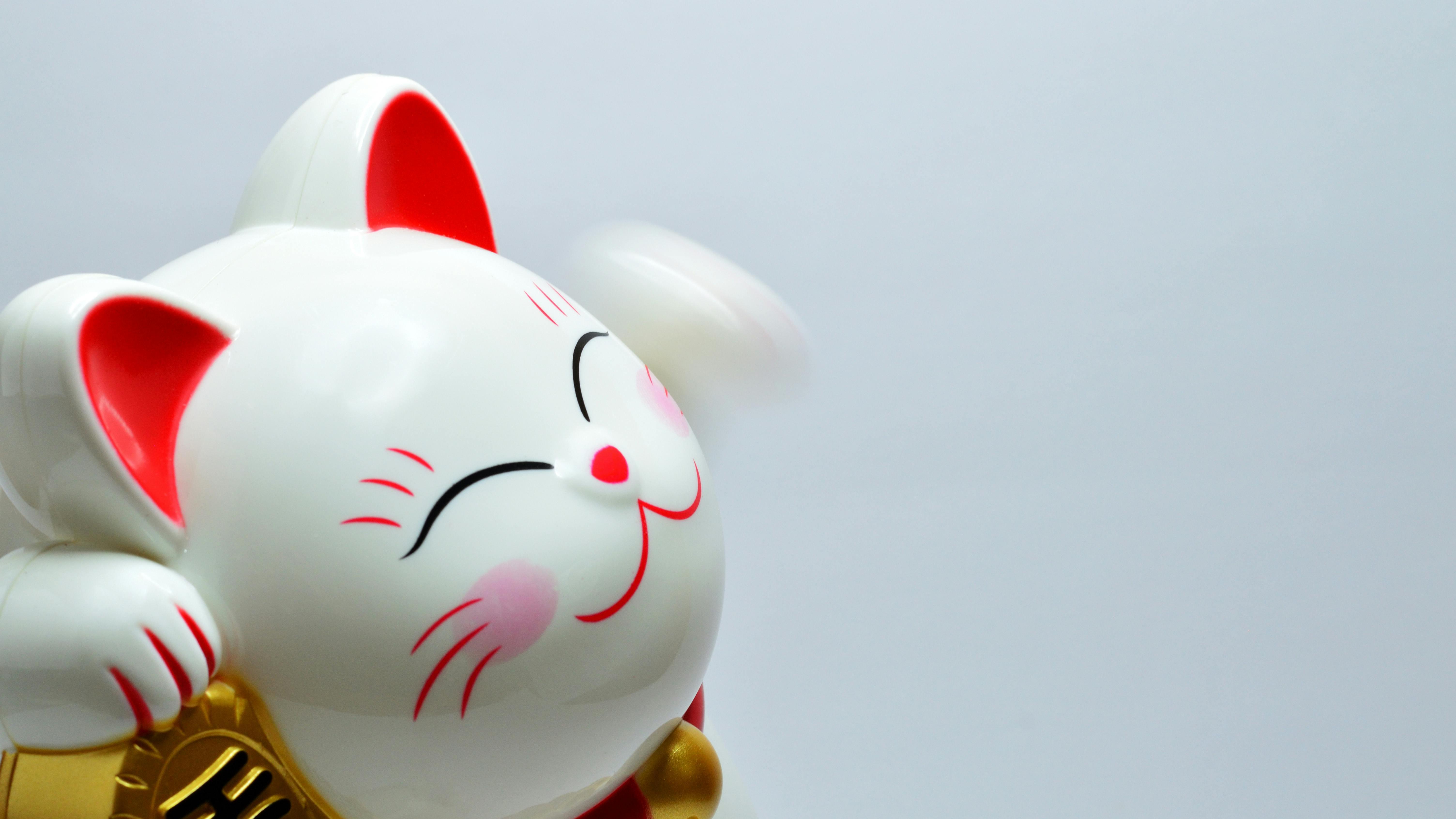 人力资源总监和财务总监哪个更重要？