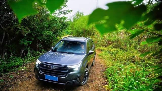 燃爆浙赛，斯巴鲁粉丝嘉年华热血收官