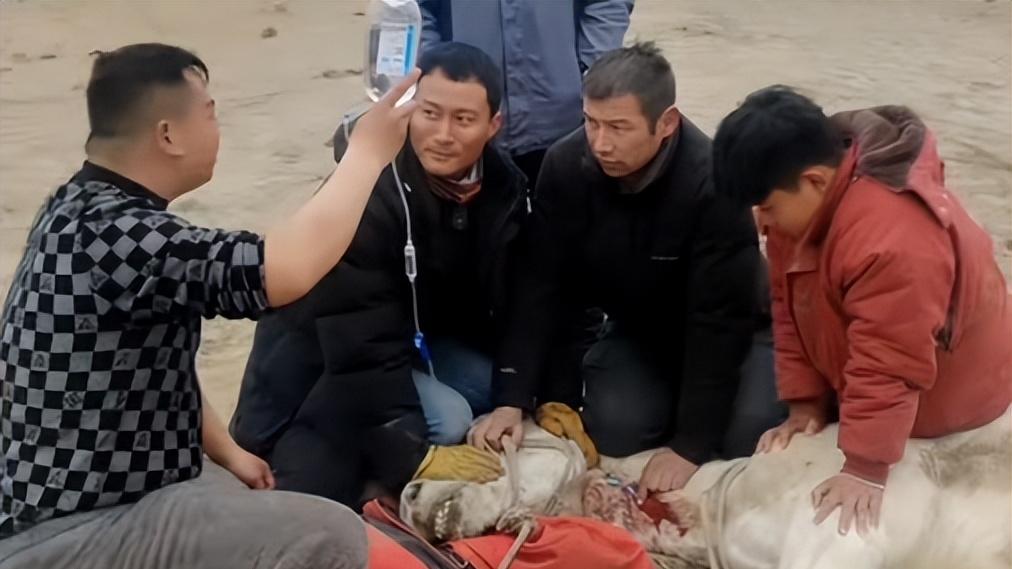 救人白马去世后续：乱喂导致，专家抢救未果，央视发声为马立雕像