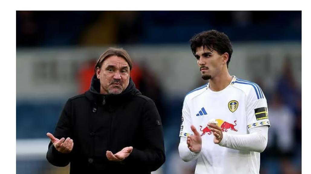 努诺继续调整阵容！球队能迎来转机？英超 利兹联VS西汉姆联资讯