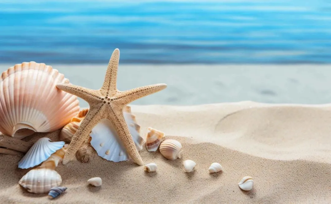 撕掉所有标签，我只定义我自己