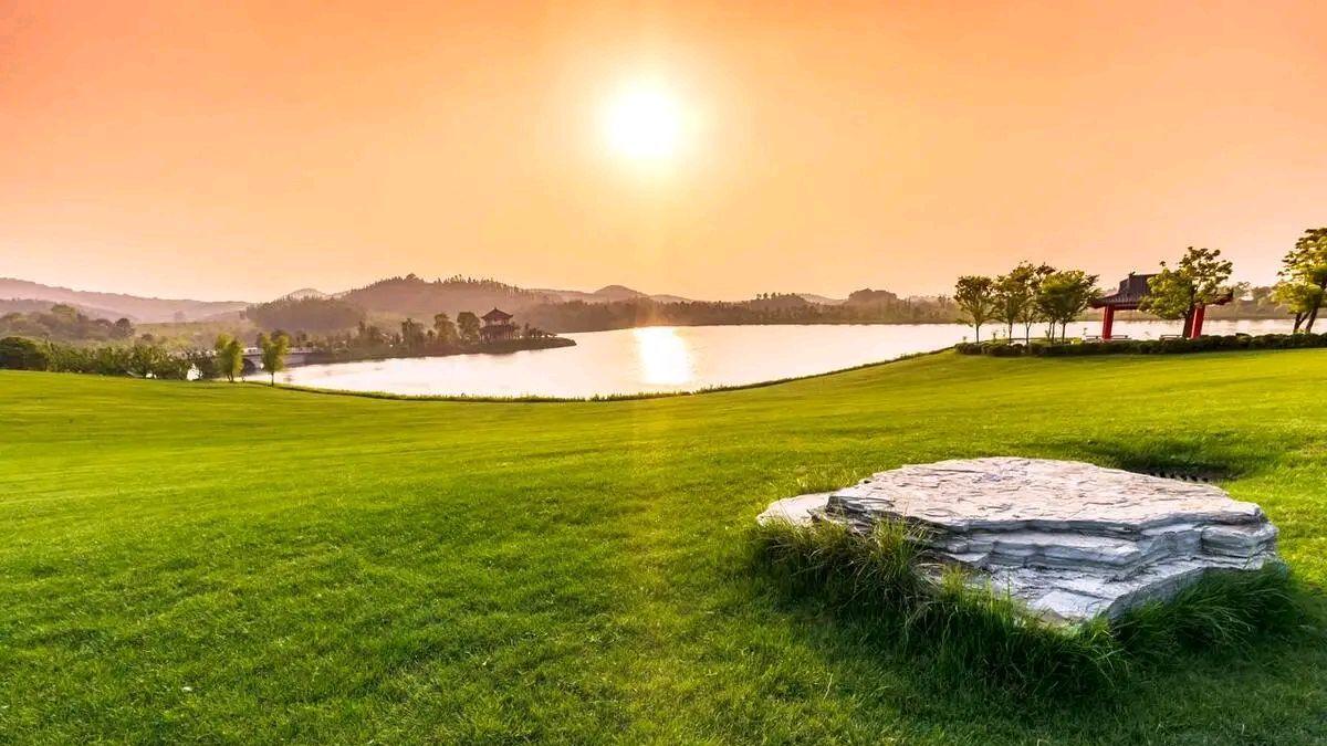 什么是有欲？什么是无欲？有欲和无欲之间有什么关系？