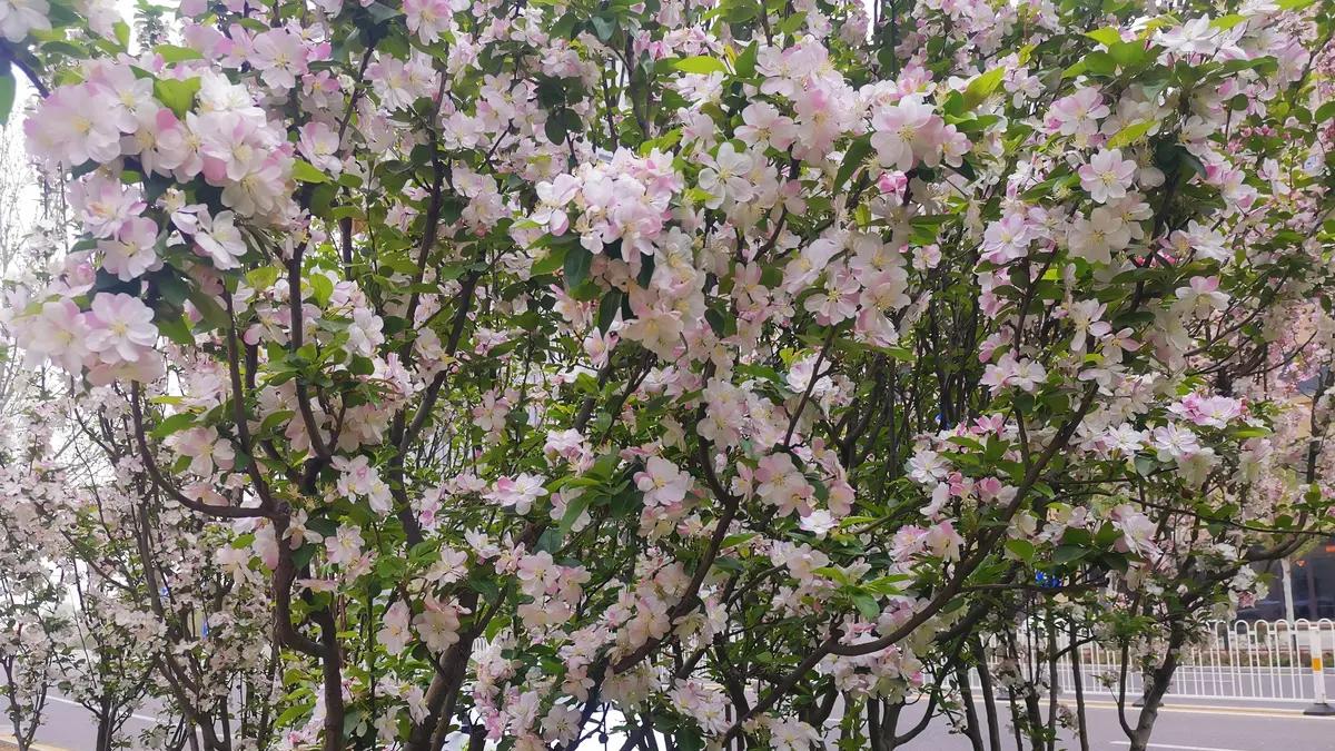 保持清醒，持续灿烂