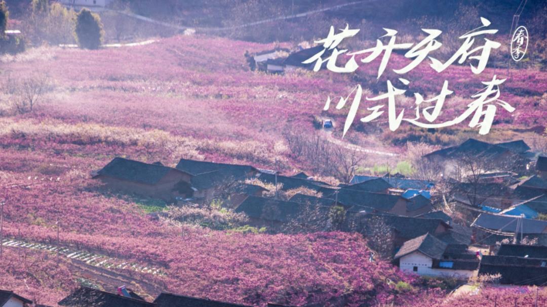 我也像花一样，要往攀枝花春天里赶！