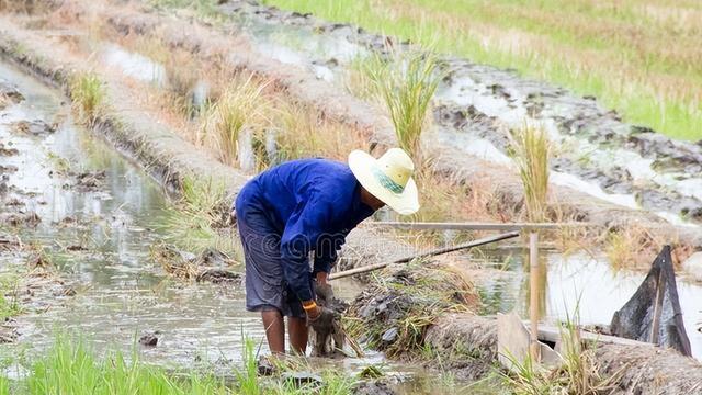 跨越千里送特产，65岁父亲48小时火车之旅却因拖鞋引发家庭风波