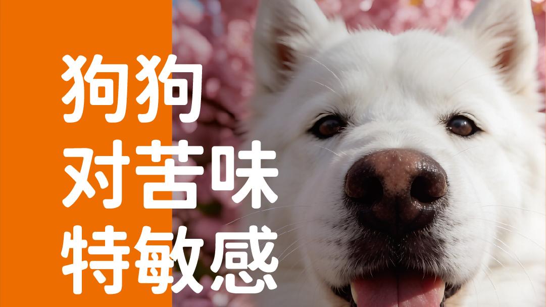 象乡宠物食品 | 狗对苦味特敏感