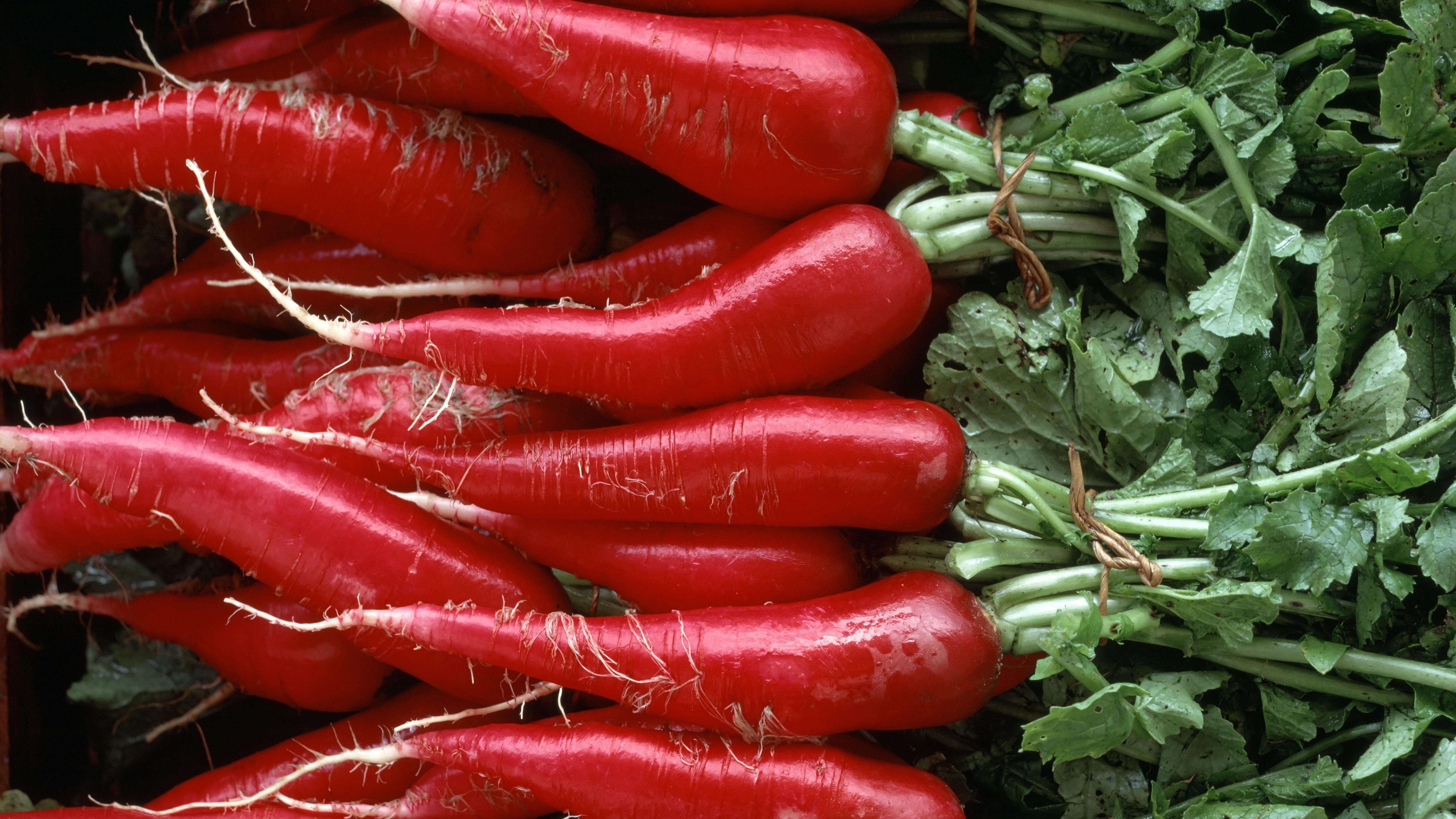 债市变“脾气”了，我们也得跟着变