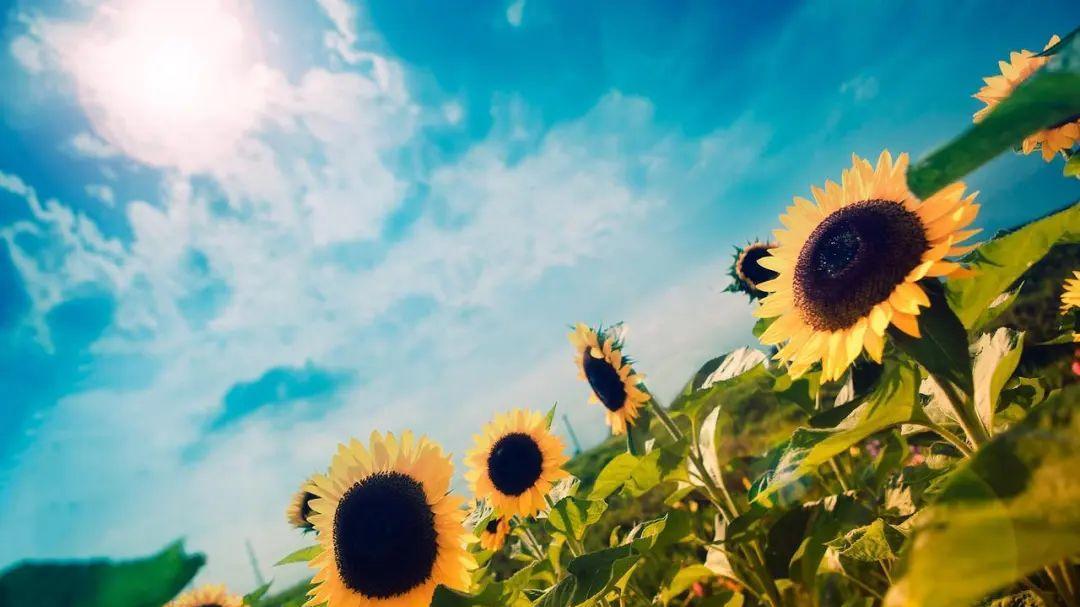 亲家相处有门道，这3句话打死都别说！