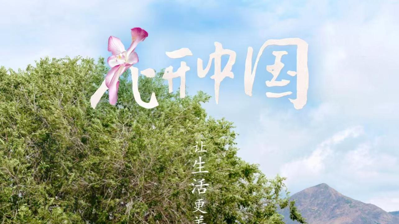 国庆自驾开外挂！张雨绮同款拍摄神器竟然藏在这辆车里？