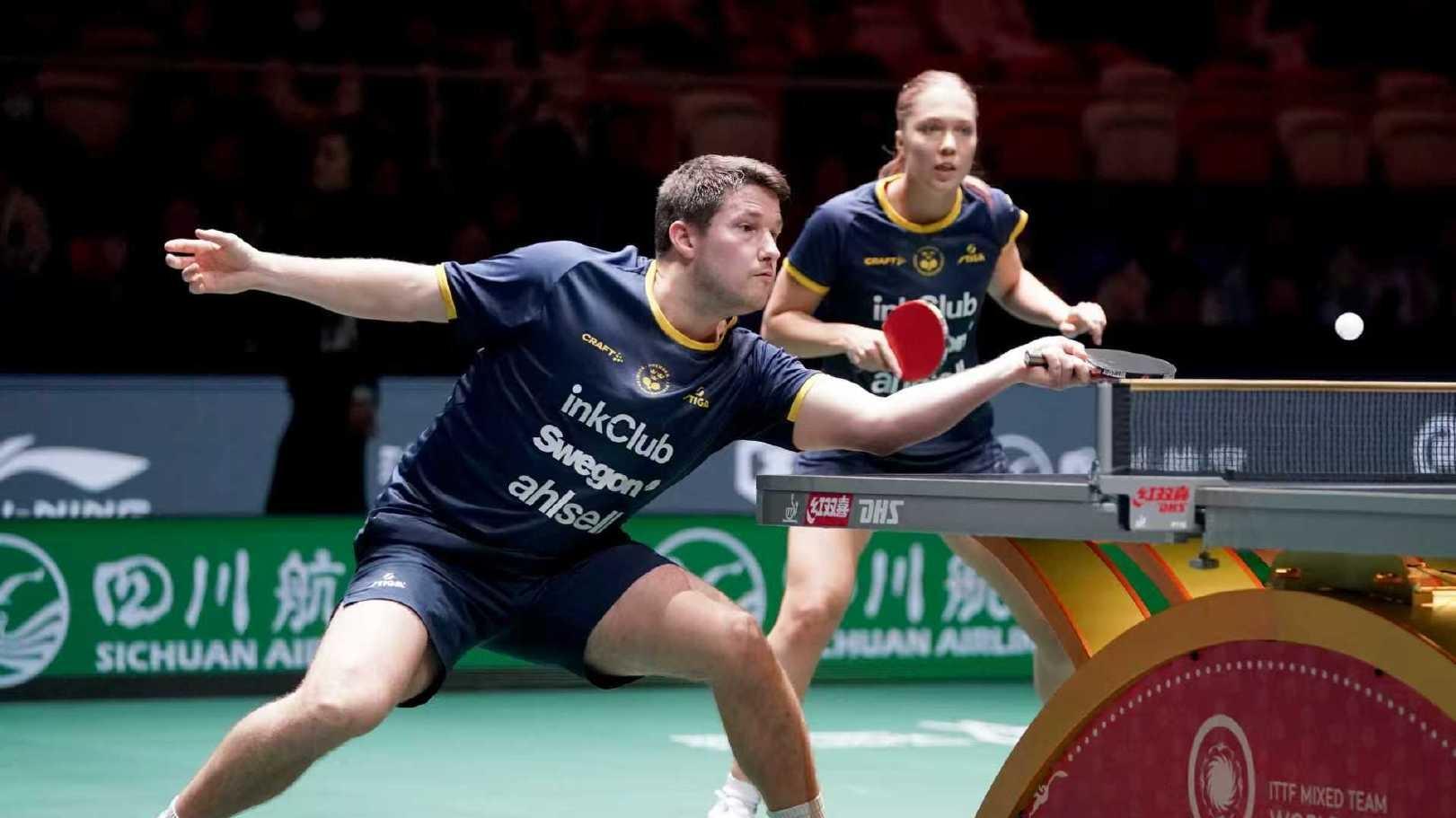 日本队击败德国队，张本美和横扫考夫蔓，香港队击败日本队