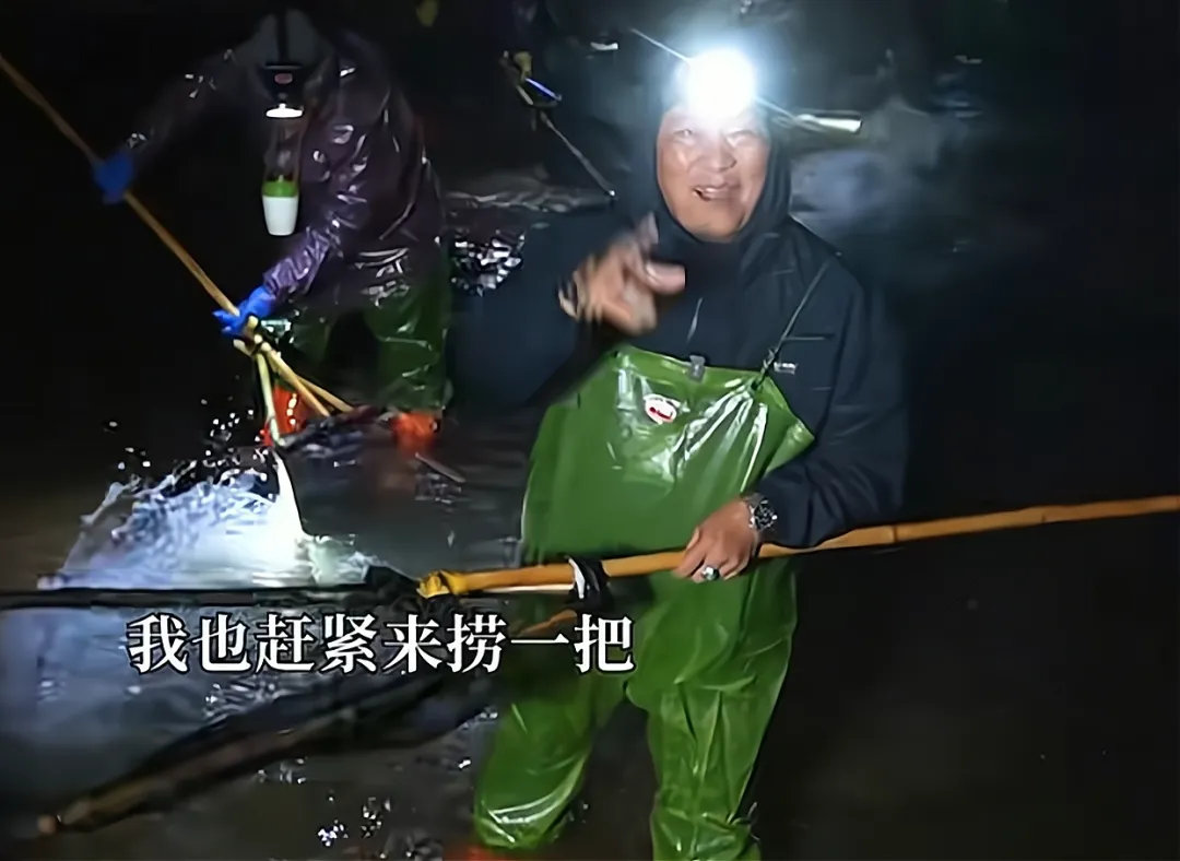 3个月赚30万！堪称“水中软黄金”！捞鳗鱼苗能发财？渔民：不是谁都可以捕捞