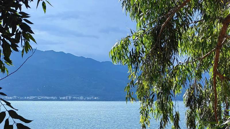 毁掉婚姻的，不是不爱，而是那一次“心动”