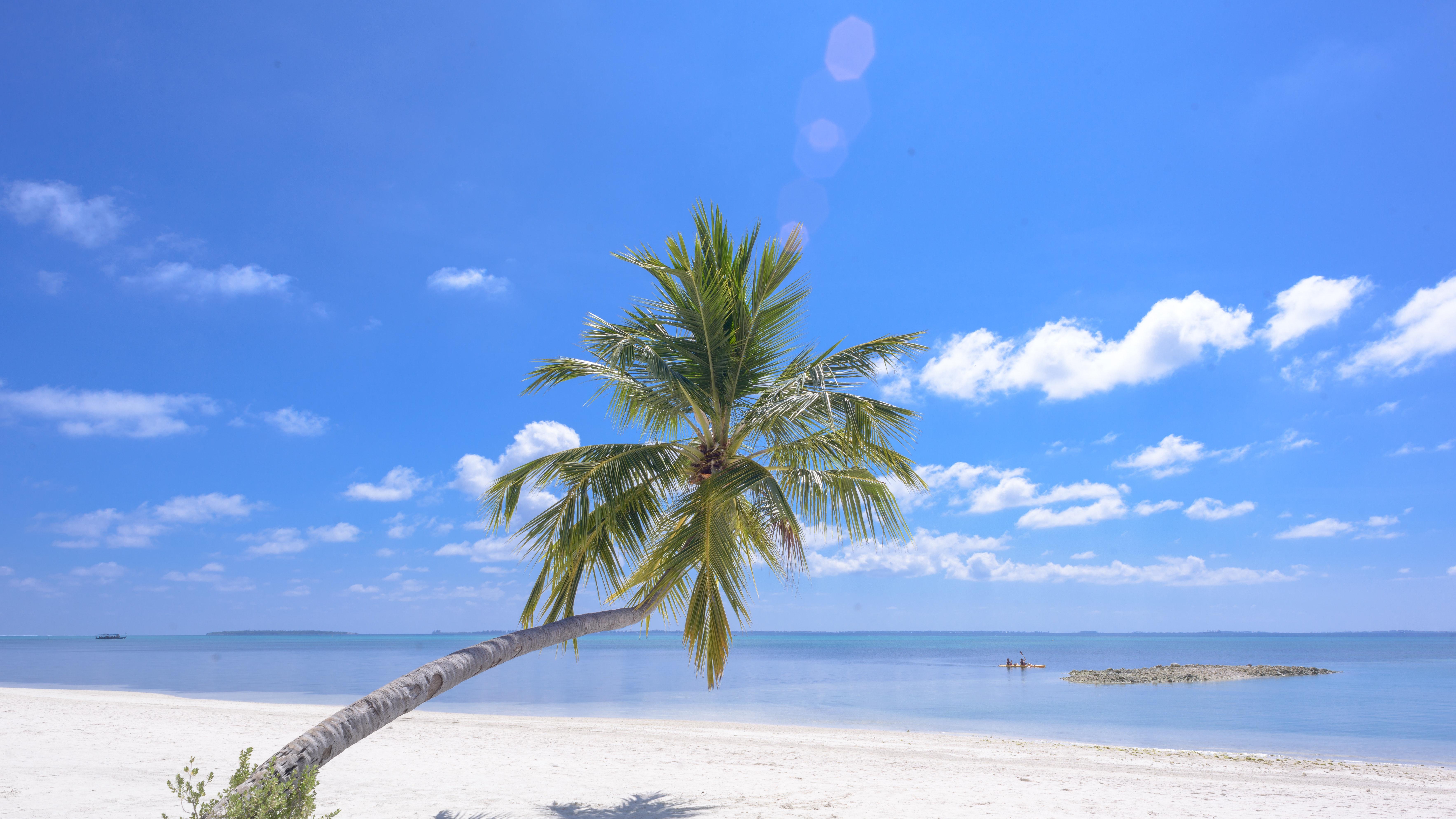 创业中习得的心理韧性，如何迁移到职场困境中