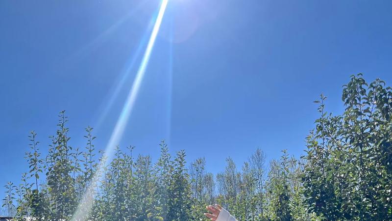 一个人开窍的标志：沟通时，把自己“调低一格”