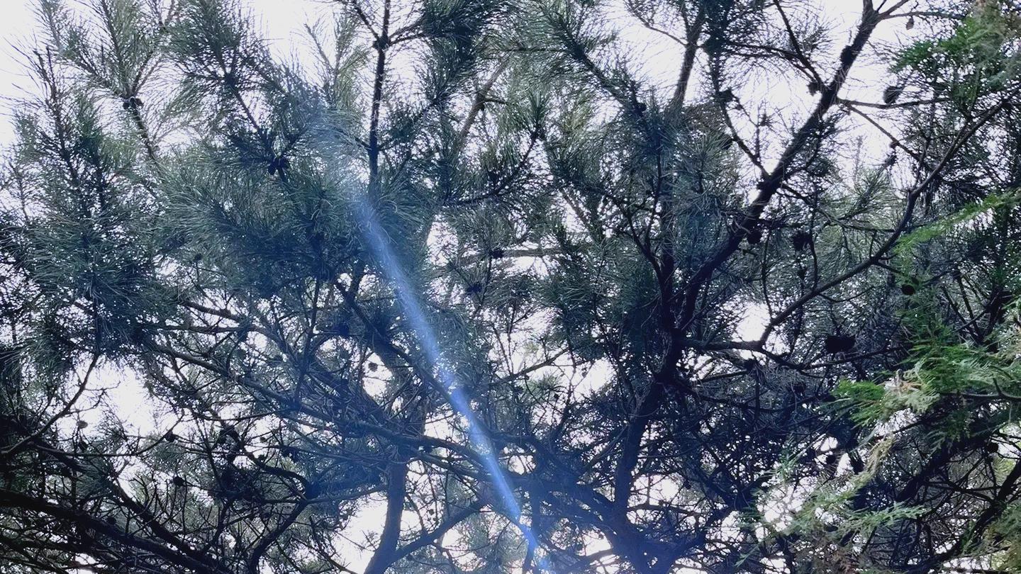 凤凰山：火山熔岩铸就的“空中长城”，忻州藏着的边塞军事密码